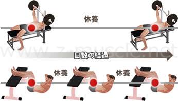 腹筋運動の筋力トレーニング頻度