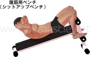 腹筋運動（クランチ）とシットアップベンチ