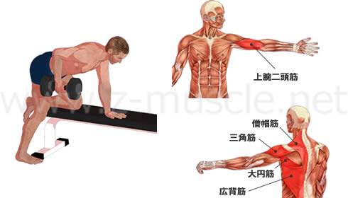 ダンベル・ローイング：広背筋の筋力トレーニング
