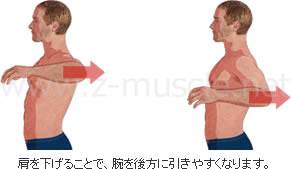 肩関節の構造と腕の可動範囲