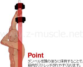 ダンベルを頭の後ろに保持することで、筋肉がストレッチされやすくなります。